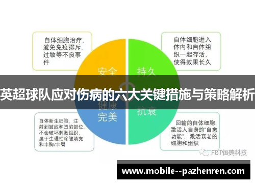 英超球队应对伤病的六大关键措施与策略解析