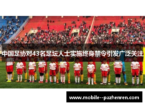 中国足协对43名足坛人士实施终身禁令引发广泛关注