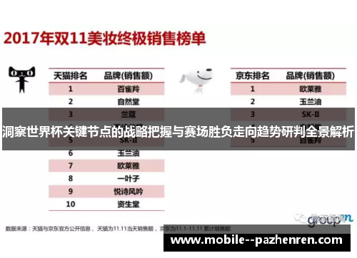 洞察世界杯关键节点的战略把握与赛场胜负走向趋势研判全景解析 洞察世界杯关键节点的战略把握与赛场胜负走向趋势研判全景解析